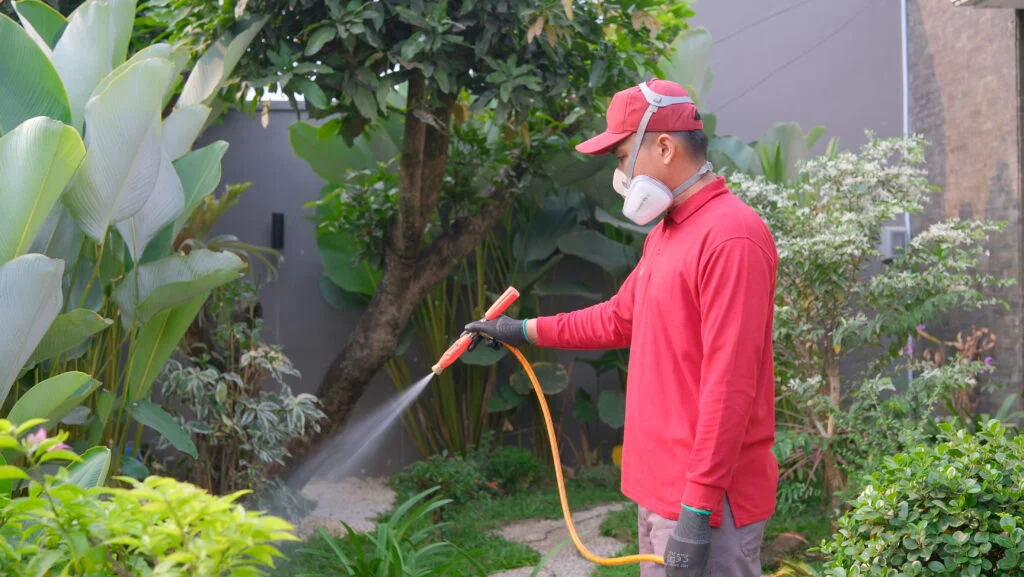 Jasa Anti Rayap Bandung